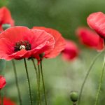 9403期最新开奖结果查询与中奖号码公布 01m4ranuc