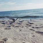 皇都国际官网手机版功能亮点及使用常见问题解答 2z7pu