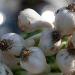 皇都国际平台手机版便捷高效账户管理与安全保障解析 54btfaj