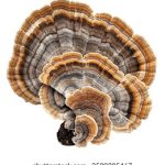 94期开奖号码正式公布,彩民热议中奖概率与走势 a7bqsv