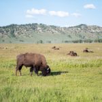 93期开奖号码正式公布,彩民热议中奖结果 cvhi98v1