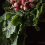 9542期开奖现场全程高清直播回顾 m39javm