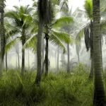 949488今晚开奖结果即将揭晓敬请期待 v0d9m