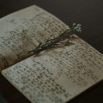 NBA视频直播录像回放:精彩赛事全程高清集锦 81gixxf